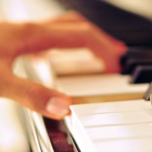 成人在线免费网址
