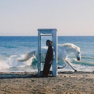 成人在线免费网址
